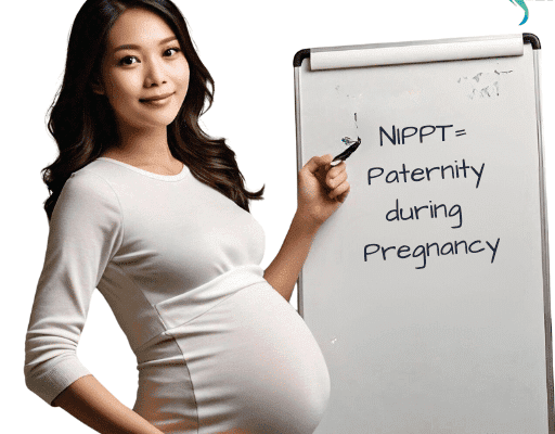 Paternity During Pregnancy